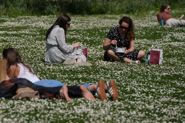 People have lunch on a sunny day at a park in London, Wednesday, April 30, 2025. (AP Photo/Kin Cheung)