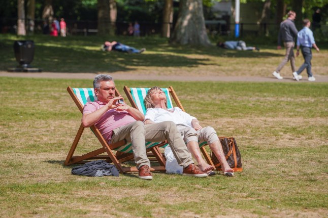 People sat in deck chairs in a park.