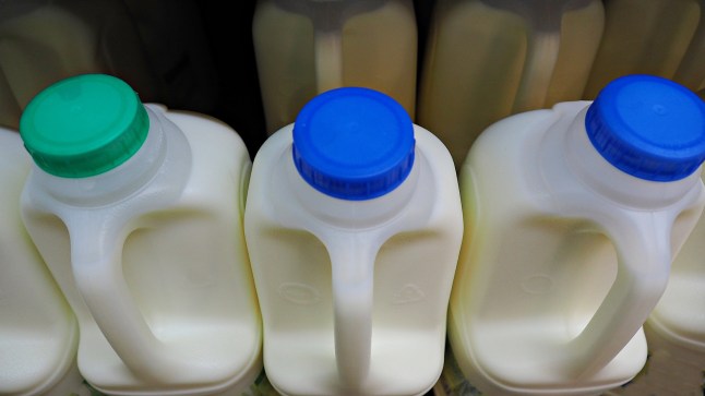 Bottles of milk in blue caps and green caps on shelf in supermarket on sale.